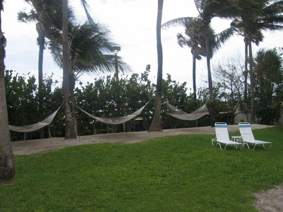 Palmen am Pool The Palms Hotel & Spa