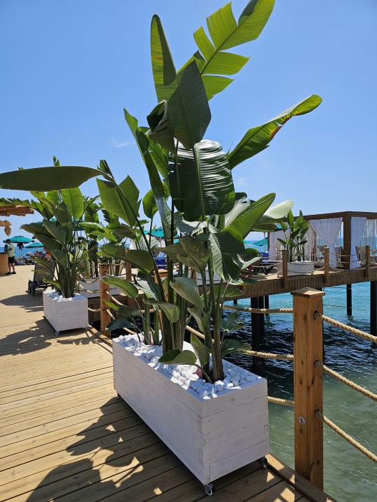 Außenansicht Megasaray Club Belek