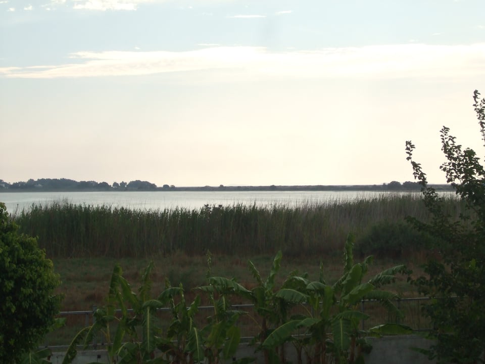 Ausblick Hotel Tigaki's Star