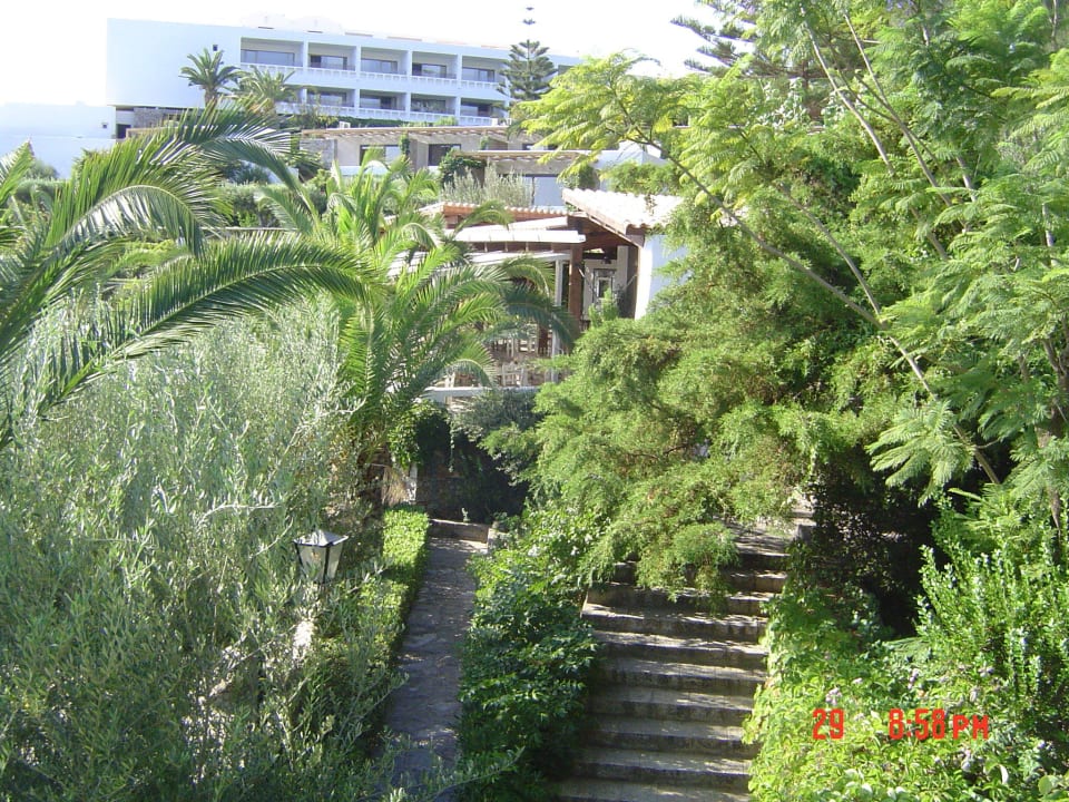 Steile Treppe Minos Palace Resort - Adults only