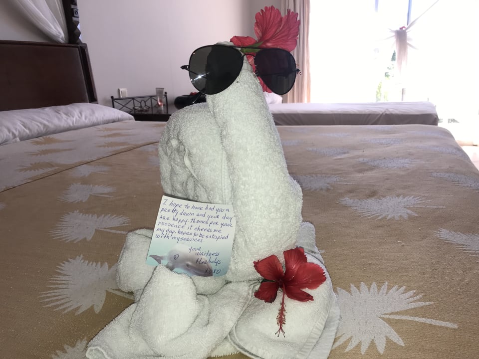 Zimmer Melia Las Dunas