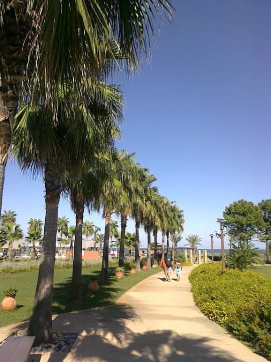 Bellambra Belambra Club - Pineto