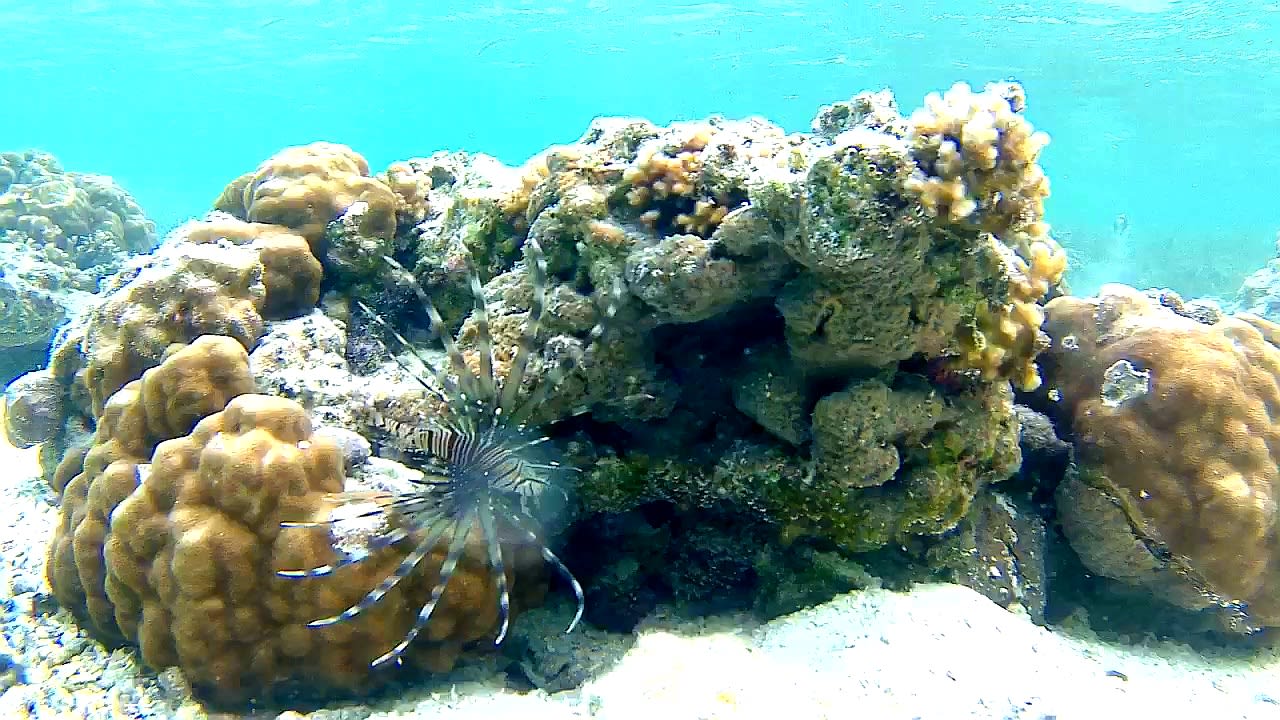 Sport & Freizeit Adaaran Select Hudhuran Fushi - Premium All Inclusive