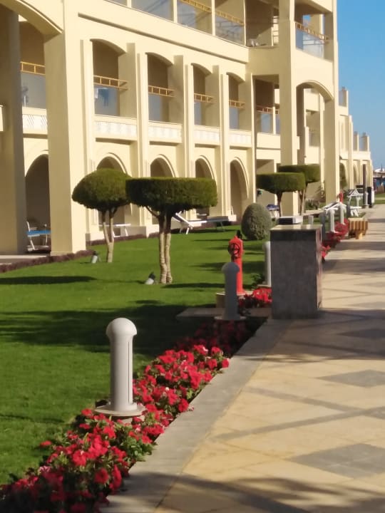 Außenansicht Pickalbatros White Beach Resort - Hurghada