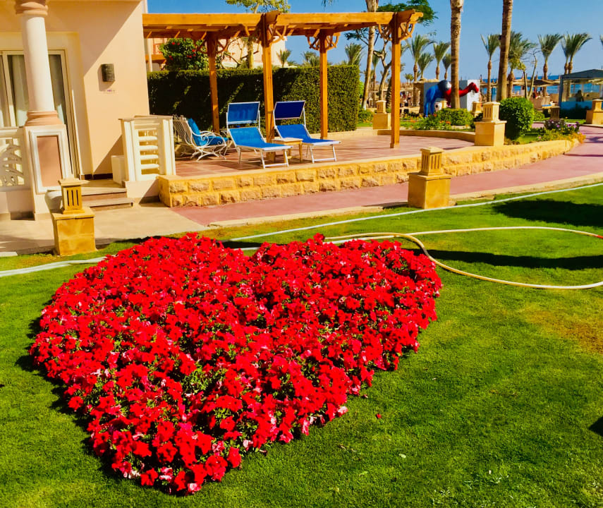 Die Terasse unseres Zimmers mit Blumenherz. Liebesurlaub per Pickalbatros Palace Resort