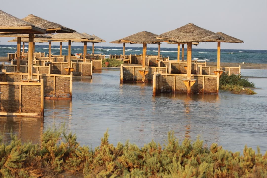 Überflutet Lahami Bay Beach Resort