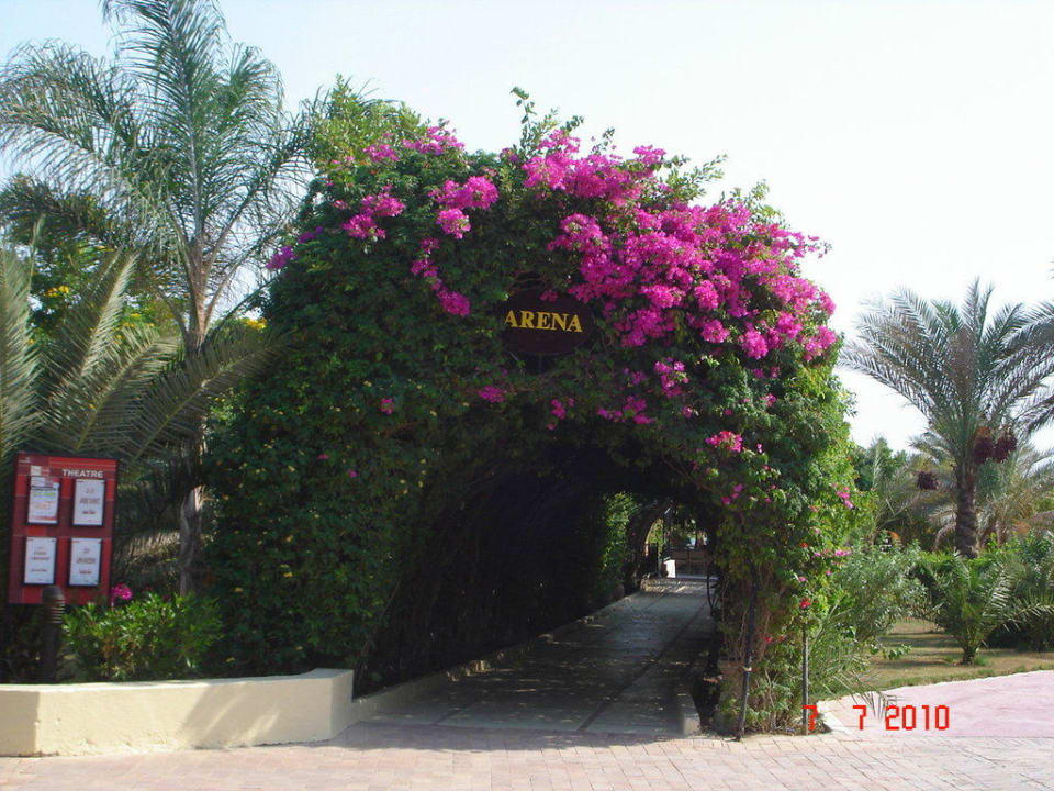 Arena Fort Arabesque Resort, Spa & Villas