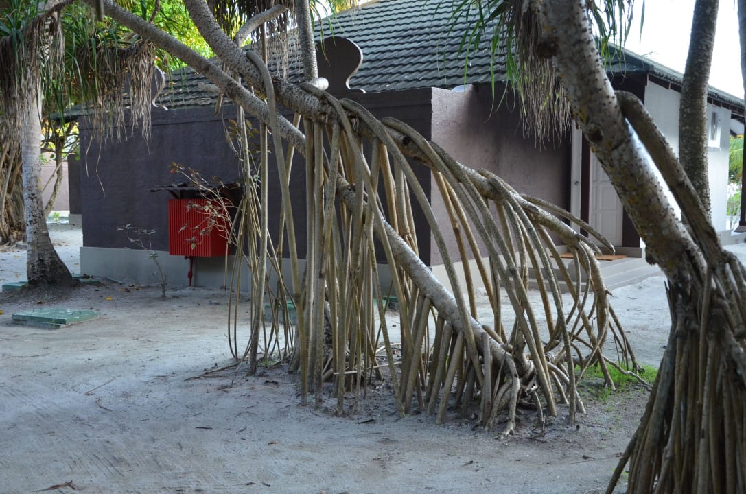 Malediven 3/2015 Adaaran Select Meedhupparu Island Resort - Premium All Inclusive