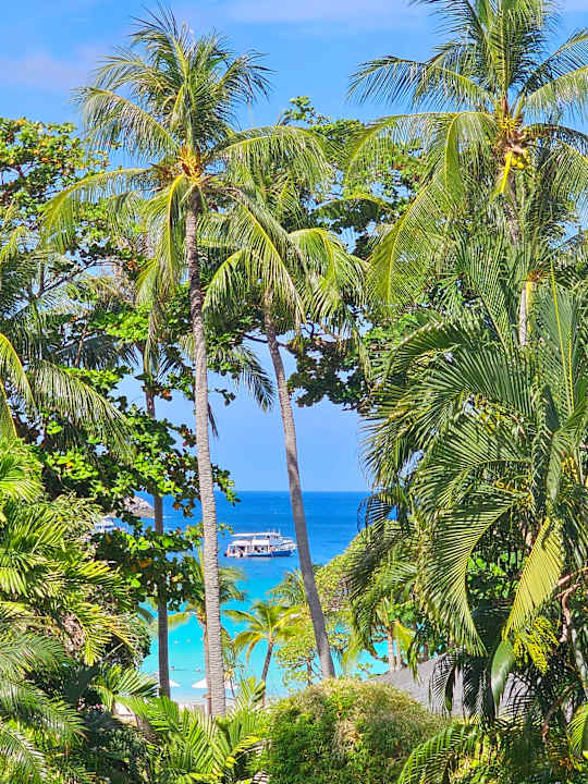 Ausblick Hotel The Racha