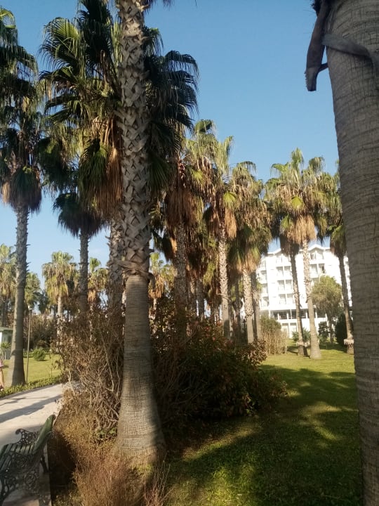 Außenansicht Royal Atlantis Beach Hotel