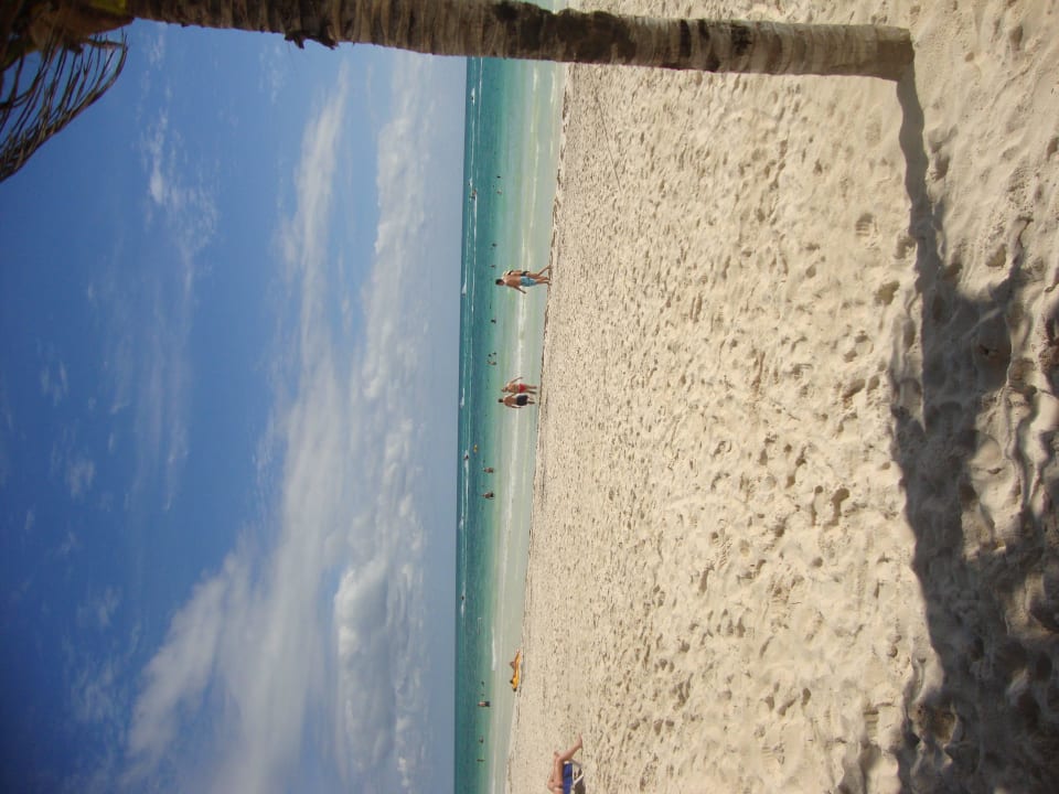 Hotel Catalonia Playa Maroma Catalonia Playa Maroma