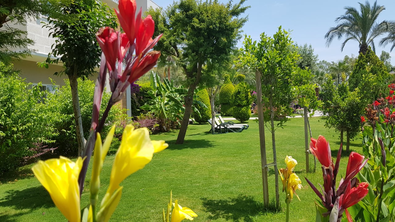 Gartenanlage Belek Beach Resort Hotel