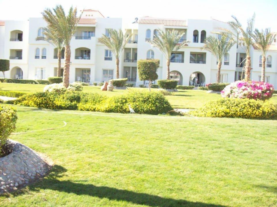 Ogrod Pickalbatros Dana Beach Resort - Hurghada