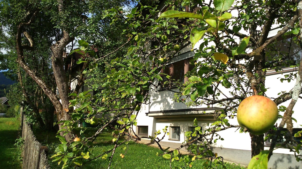 Schattenspender Haus Ruf