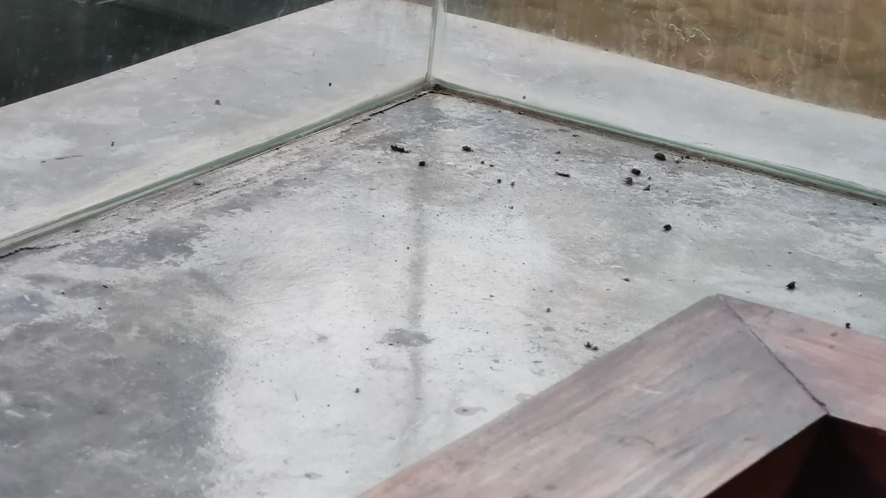 Gastro Hotel Mai Samui Beach Resort & Spa