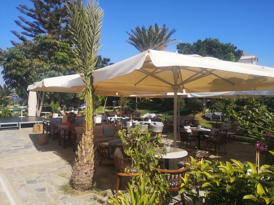 Gartenanlage Crystal Springs Beach Hotel