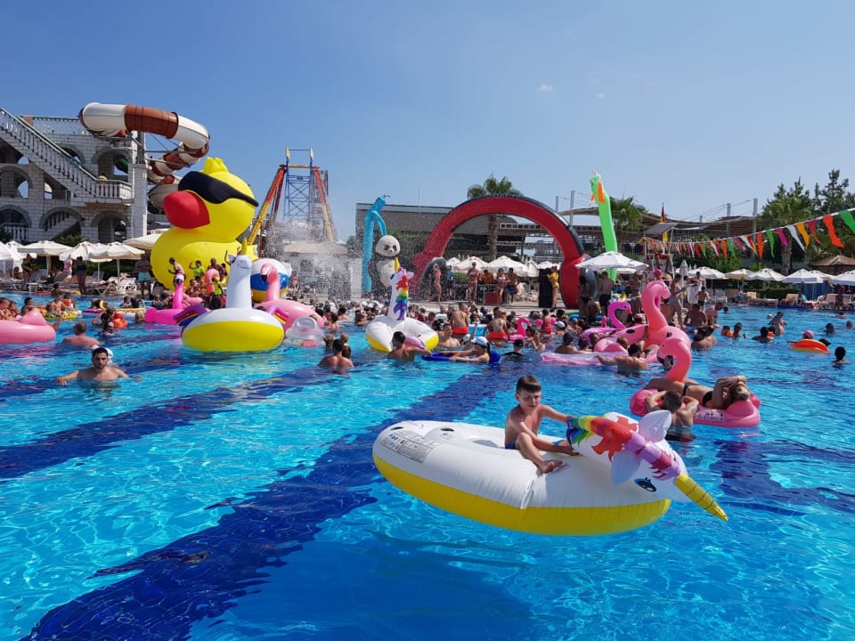 Pool Hotel Delphin Imperial