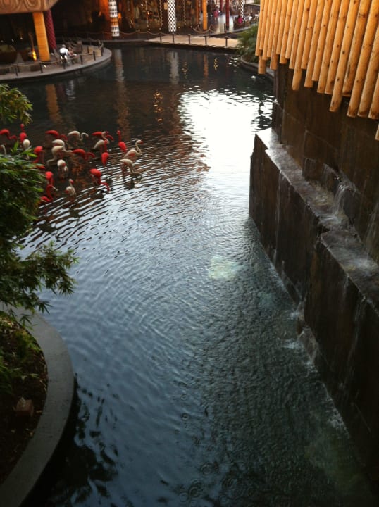 Garten Lopesan Baobab Resort