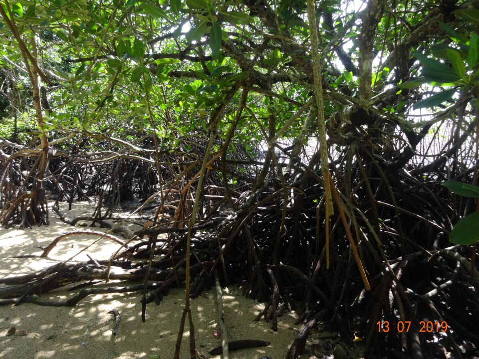 Strand Papageno Resort