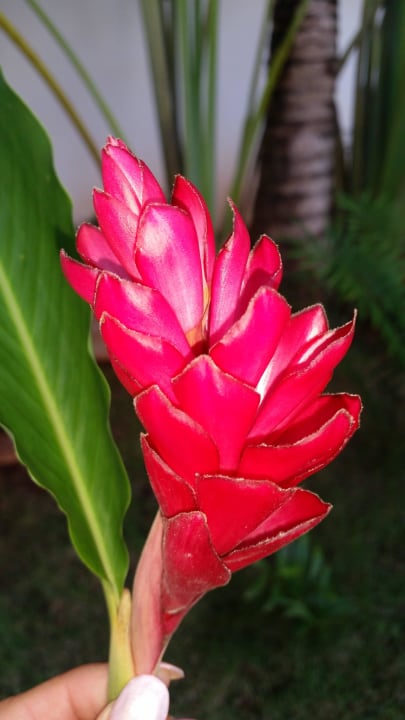 So schön Wyndham Alltra Samana