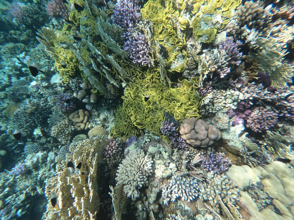 Sport & Freizeit Pickalbatros Villaggio Resort - Portofino