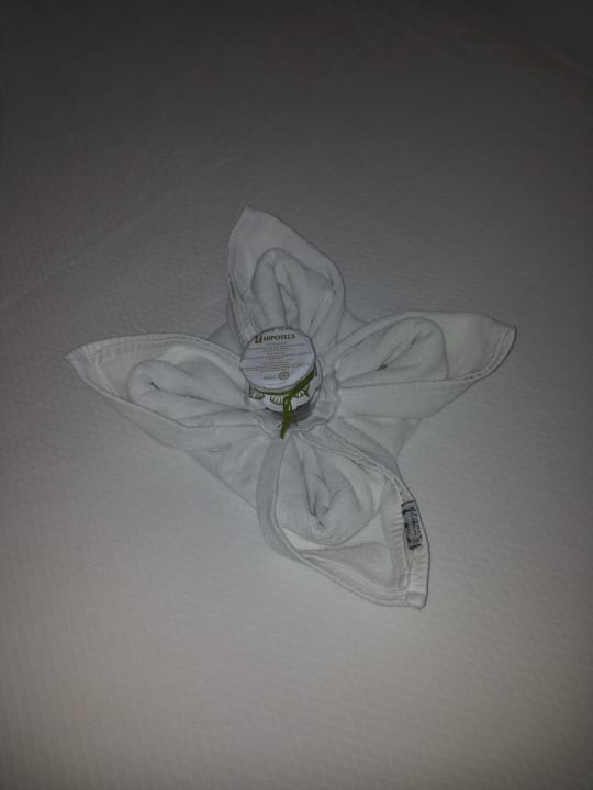 Wunderschön dekoriert Hipotels Hipocampo Playa