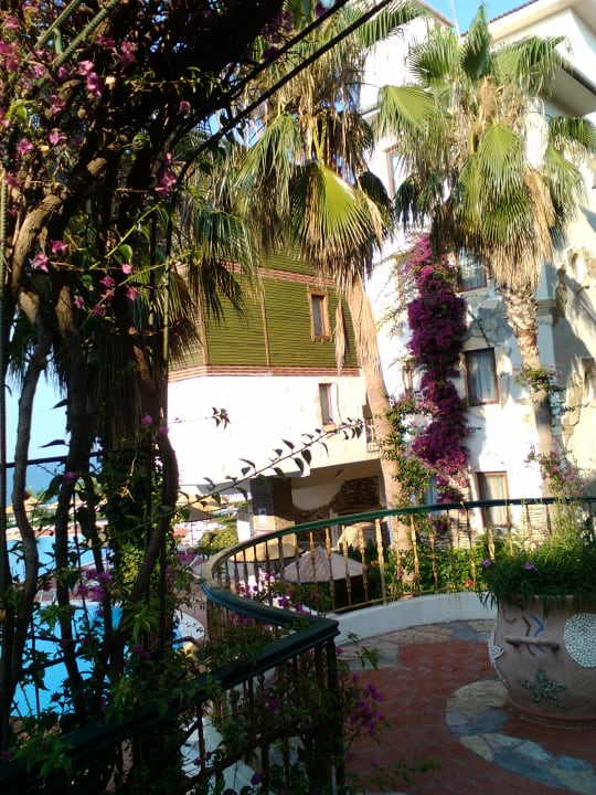 Gartenanlage Hotel Defne Dream