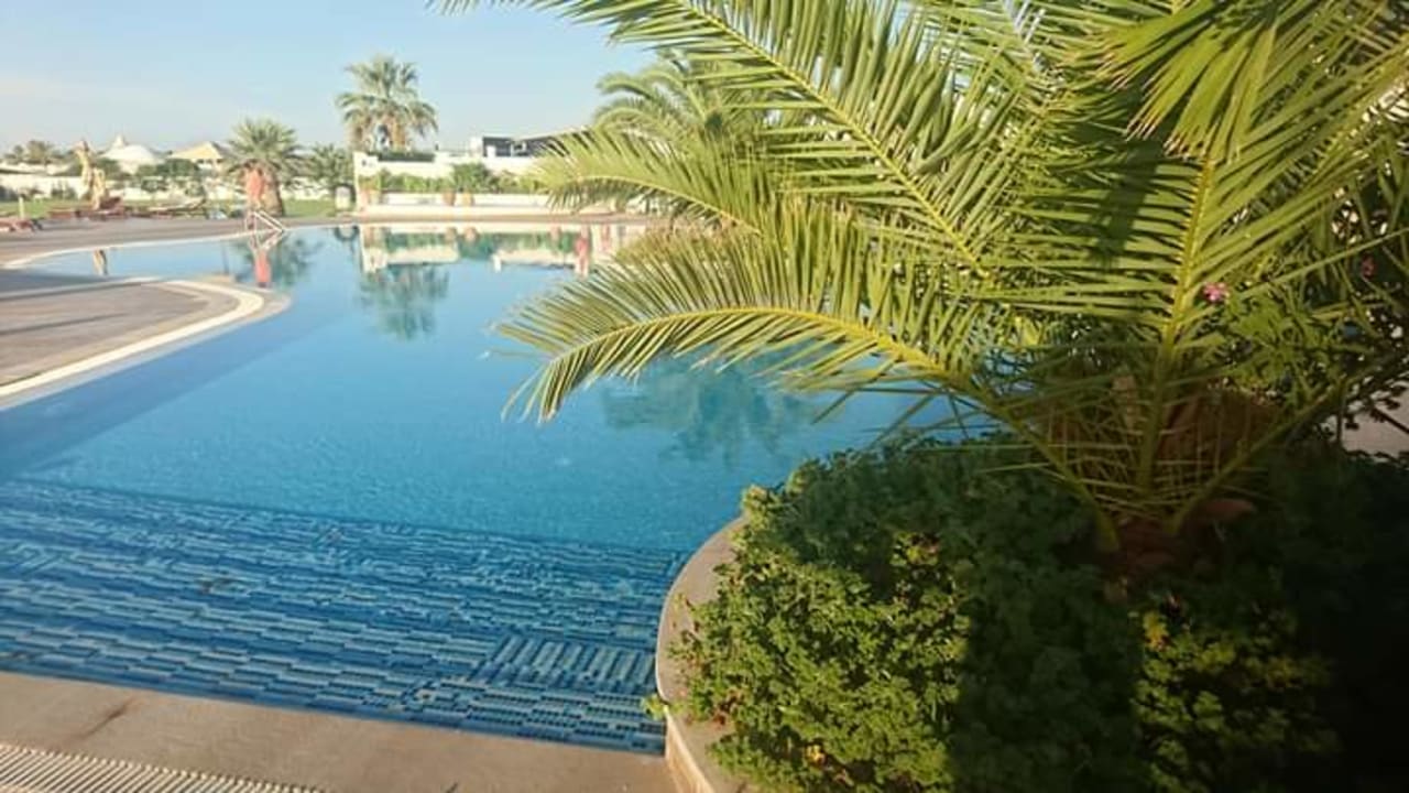 Pool Club Salammbô Hammamet