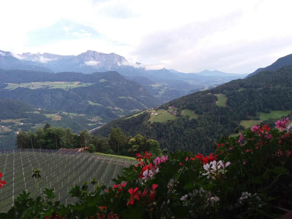 Ausblick Boutique Pension Erlacher – Adults Only