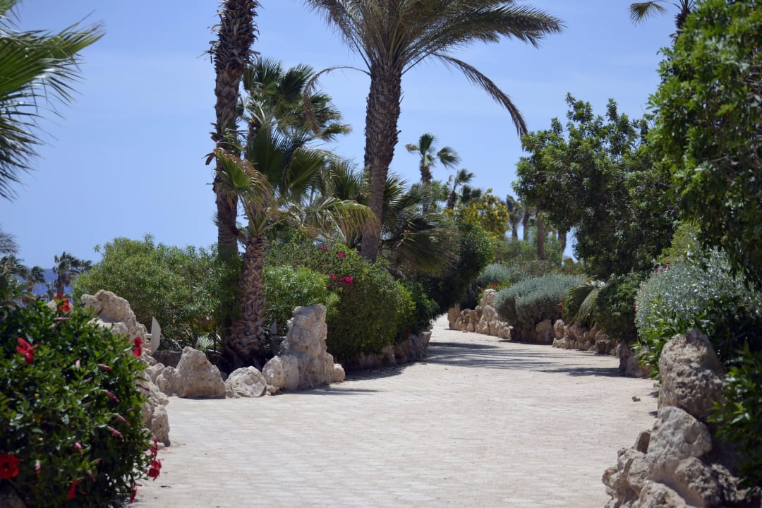 Weg zum Strand Pickalbatros Citadel Resort