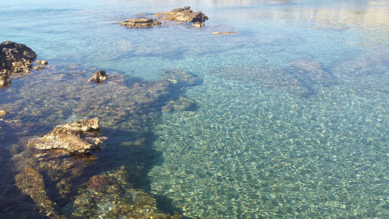 Bucht  Hotel Kalithea Mare Palace