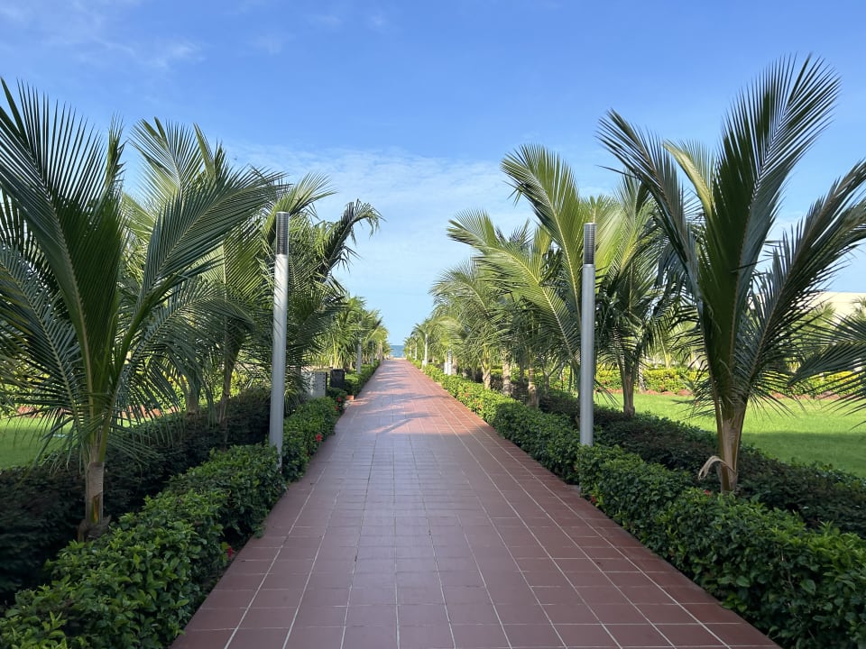 Gartenanlage Hotel Riu Baobab