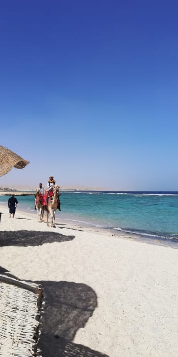 Strand Radisson Blu Resort, El Quseir