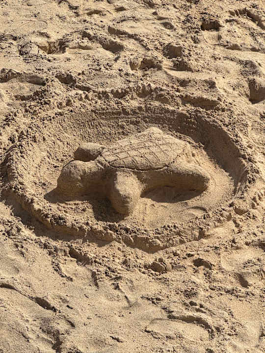 Strand Hotel Riu Cabo Verde