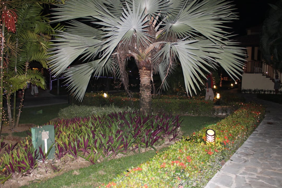 Hotel Grand Palladium Palace Resort, Spa & Casino Hotel Grand Palladium Palace Resort, Spa & Casino