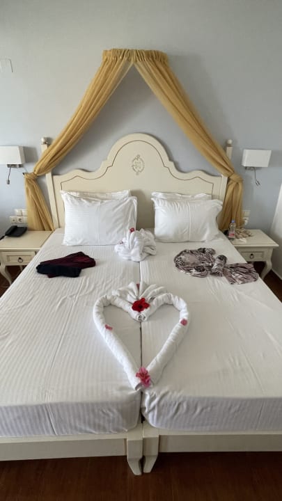 Zimmer Alexander Beach Hotel & Village Resort