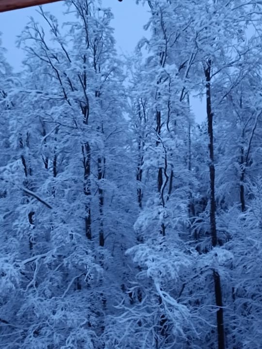 Außenansicht Hotel BERGEBLICK