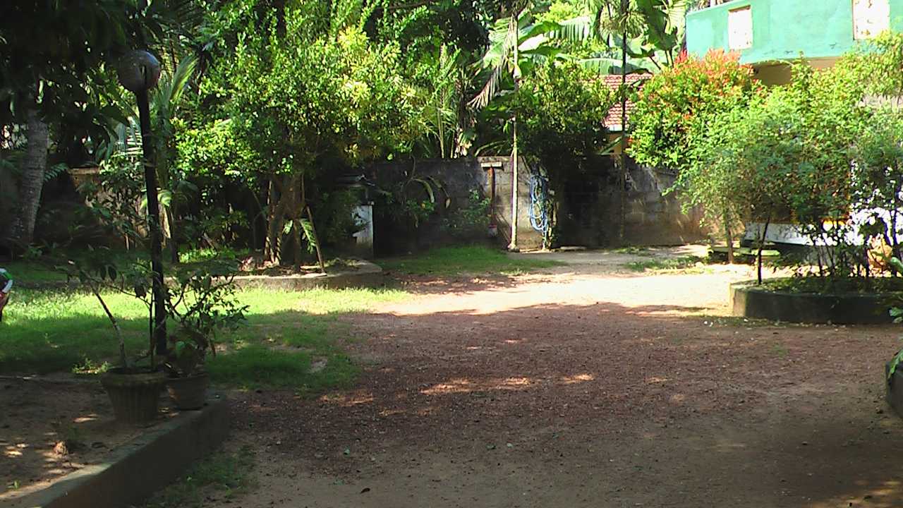 Gartenanlage Sunshine Guesthouse