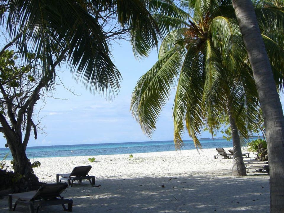 Ausblick von den Jacuzzi Villen 100er Seite Kuredu Island Resort & Spa