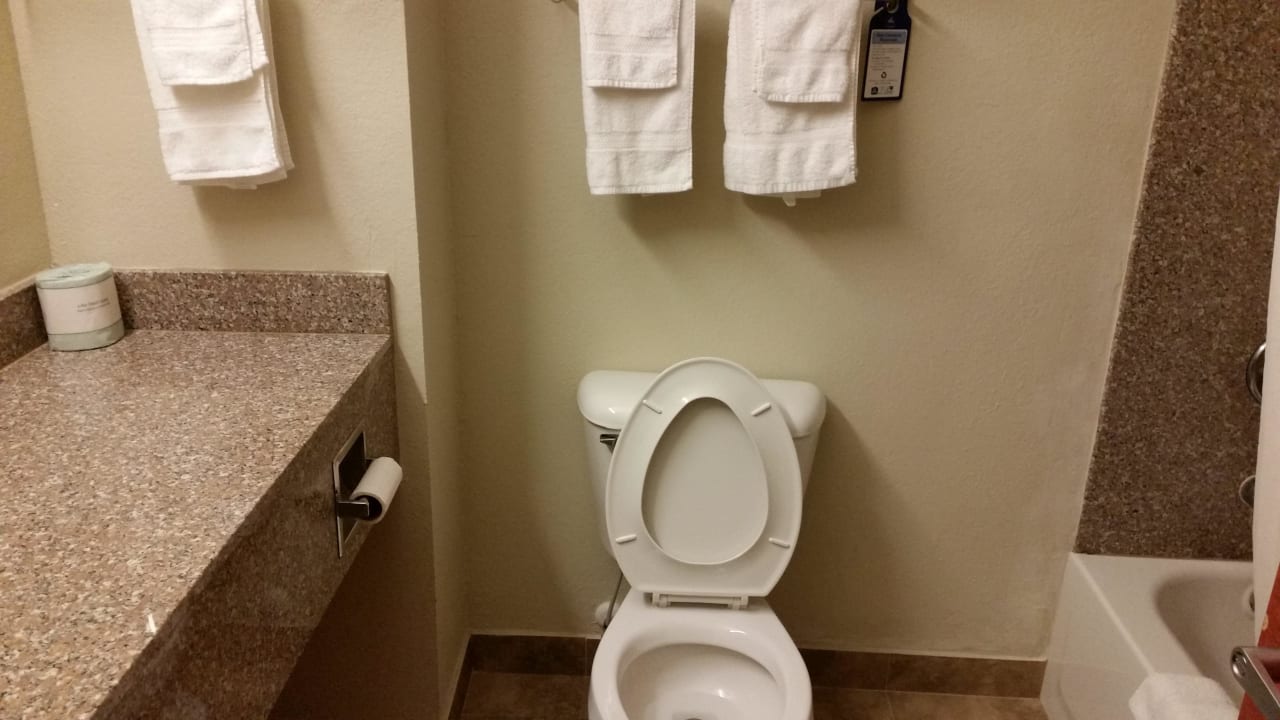 Bad Best Western Hotel Troy Inn