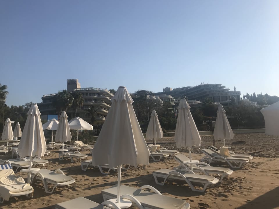 Strand Arum Barut Collection