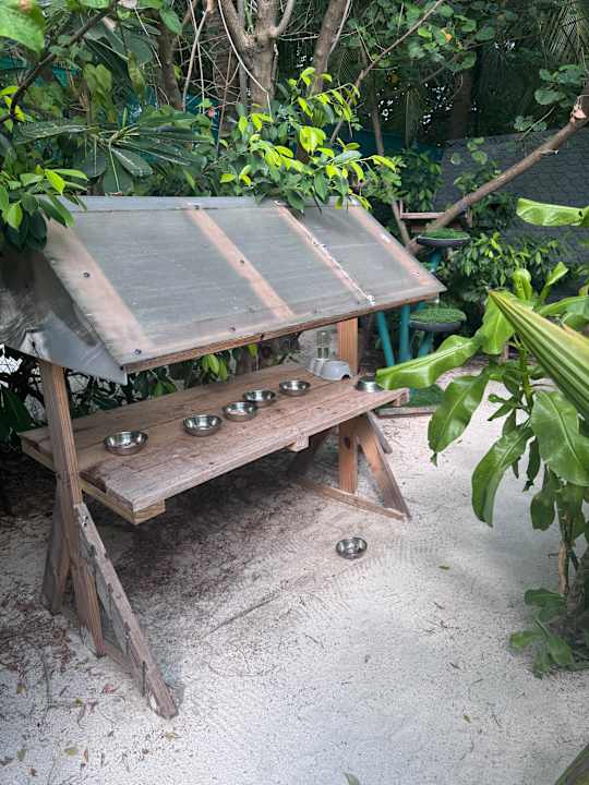 Sonstiges Oaga Art Resort Maldives - Greatest All Inclusive Plan with Free Speedboat Round-trip