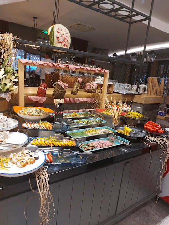 Gastro Seashell Vega