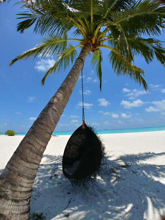 Strand Meeru Maldives Resort Island