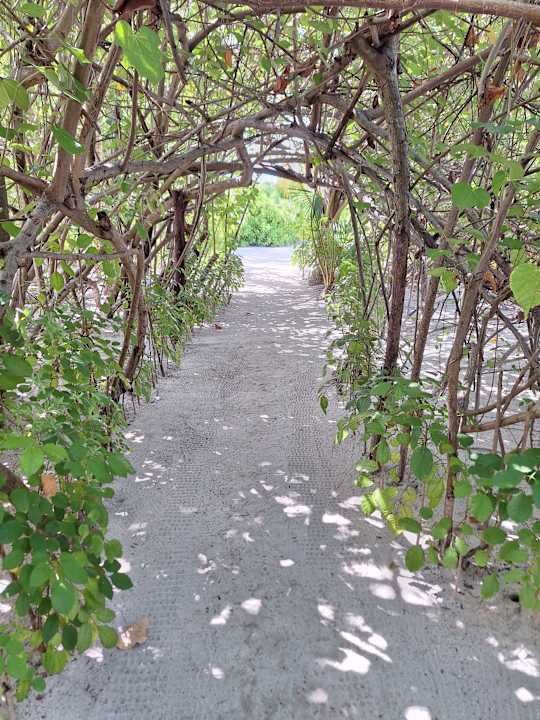 Außenansicht Safari Island Maldives