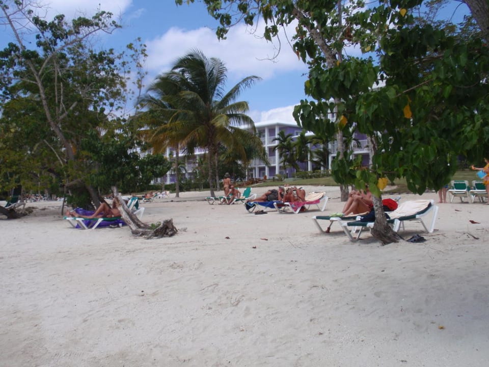 Strand im Fischrevier Hotel Riu Negril