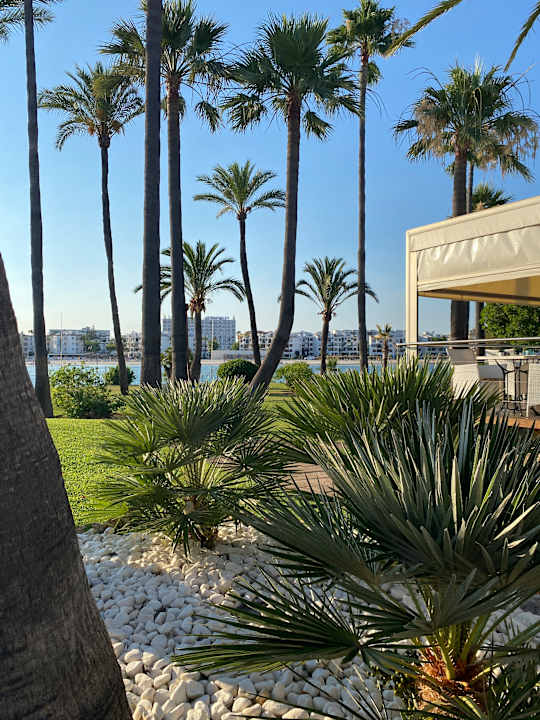 Gastro Alcudiamar Marina Residence