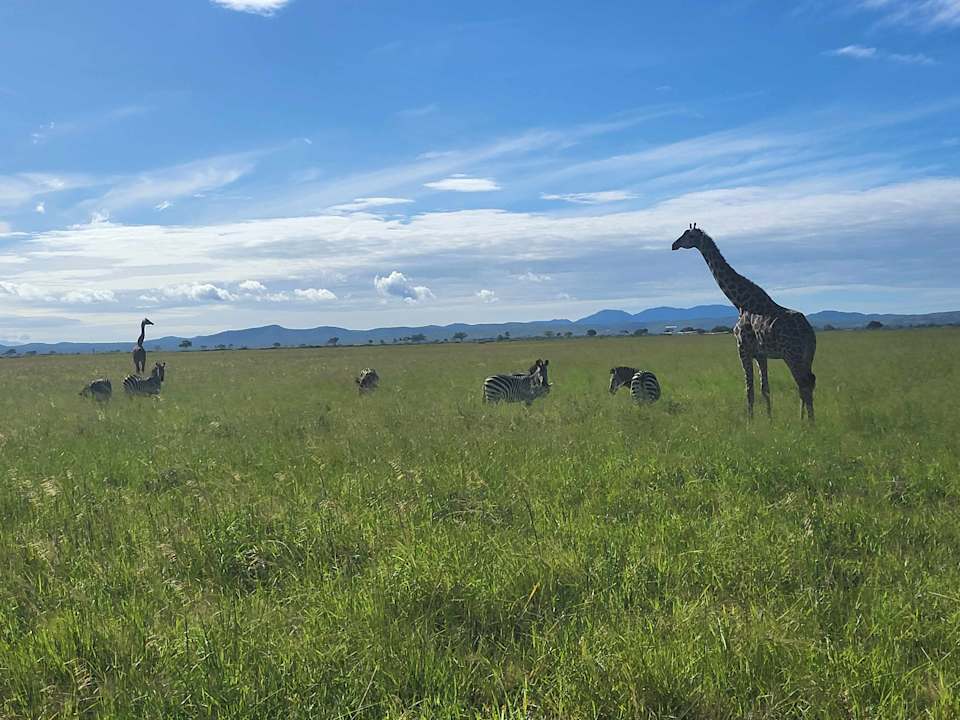 Sonstiges Hotel Riu Palace Zanzibar