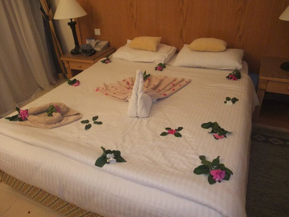 Tolle Kreationen Pickalbatros Dana Beach Resort - Hurghada