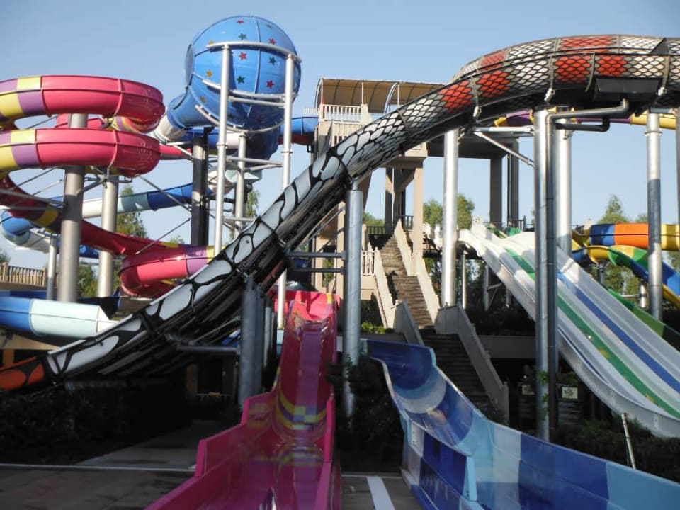 Royal Seginus Royal Seginus